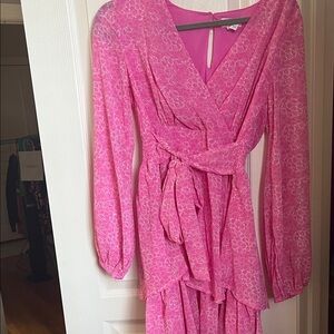 Japna Vibrant Pink Long Sleeve Dress